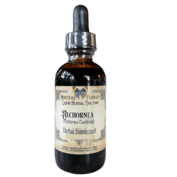 Alchornea Cordifolia (4 oz)